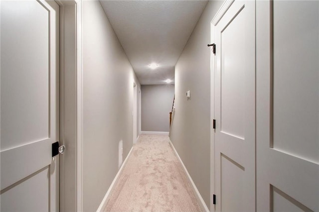 TBB403 College St, Northfield, MN 55057 - corridor with light colored carpet and baseboards