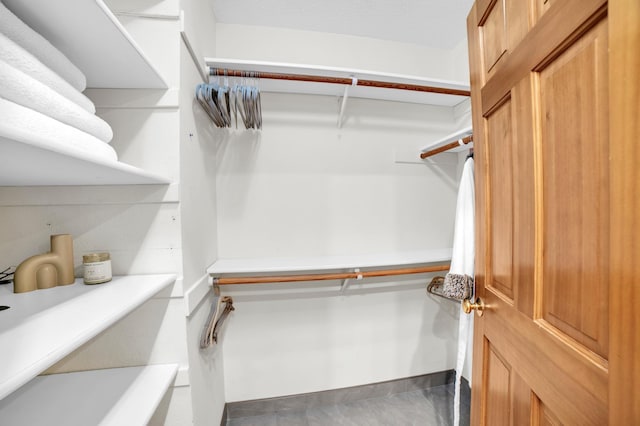 11260 Hidden Oaks Ct N, Champlin, MN 55316 - view of spacious closet
