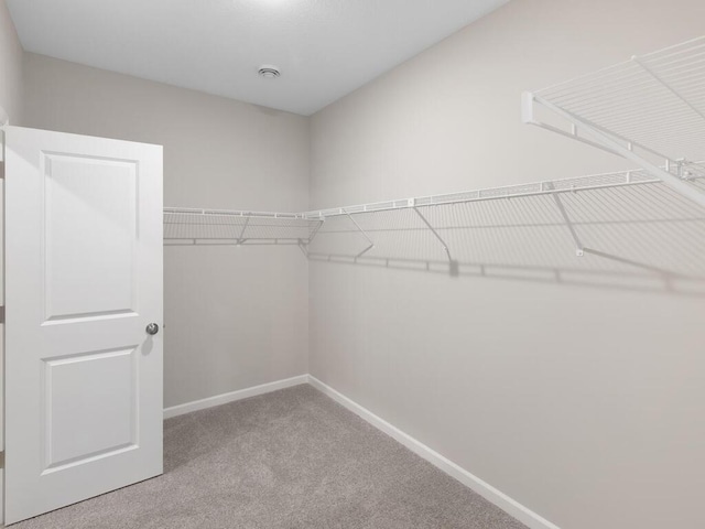 15981 Finale Ave N, Hugo, MN 55038 - spacious closet with carpet floors
