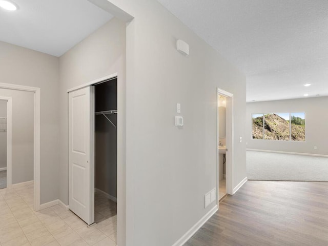 15981 Finale Ave N, Hugo, MN 55038 - hall with baseboards