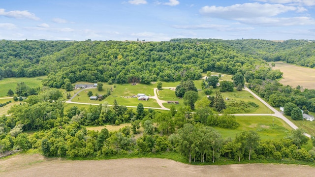 N1931 110th St, Union Twp, WI 54761 - drone / aerial view of a forest
