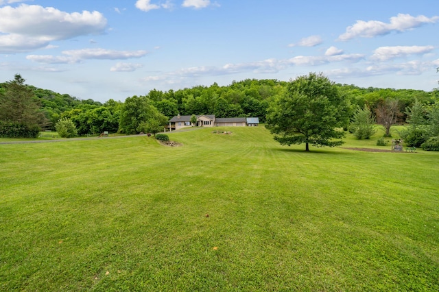 N1931 110th St, Union Twp, WI 54761 - view of green lawn featuring a view of trees and a rural view