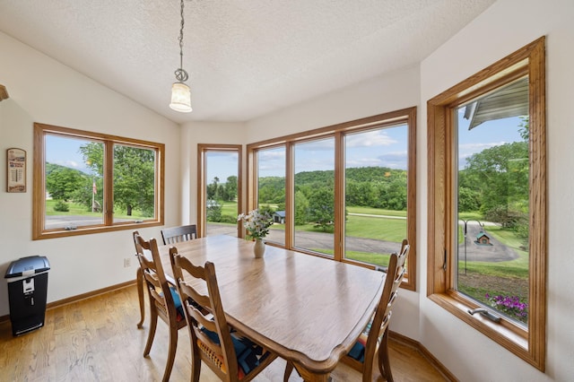 N1931 110th St, Union Twp, WI 54761 - dining room featuring a textured ceiling, light wood-style flooring, plenty of natural light, lofted ceiling, and baseboards