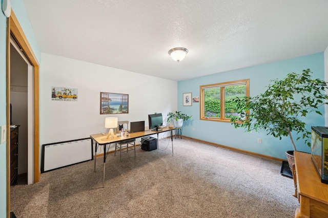N1931 110th St, Union Twp, WI 54761 - office space with carpet flooring, baseboards, and a textured ceiling