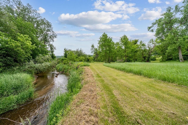 N1931 110th St, Union Twp, WI 54761 - view of yard