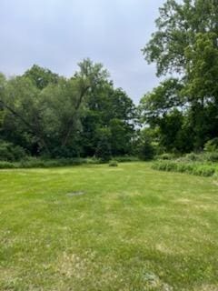 N1931 110th St, Union Twp, WI 54761 - view of green lawn