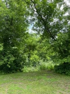 N1931 110th St, Union Twp, WI 54761 - view of woods