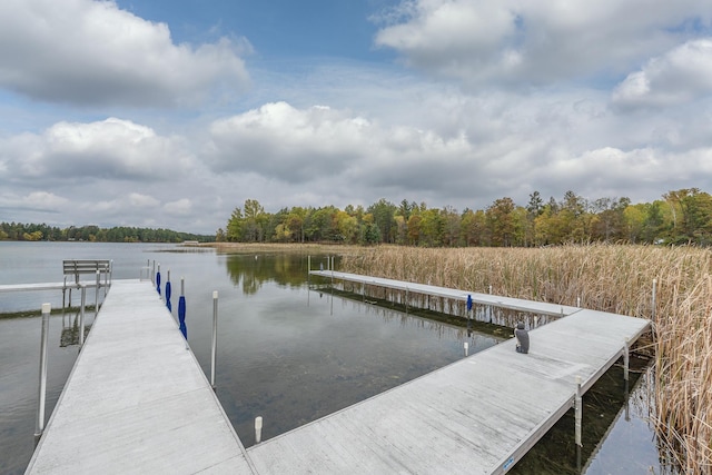1087 Horseshoe Dr NW, Backus, MN 56435 - dock with a water view and a wooded view
