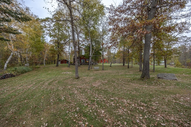 1087 Horseshoe Dr NW, Backus, MN 56435 - view of green lawn