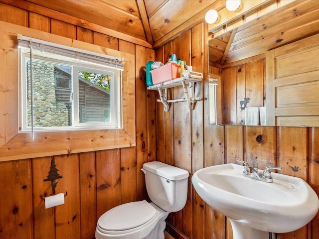 30202 Circle Dr, Breezy Point, MN 56472 - bathroom with wooden walls, toilet, a sink, and lofted ceiling