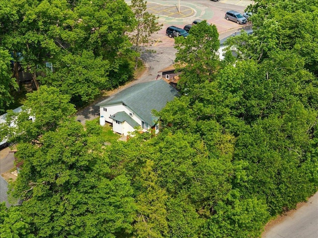 30202 Circle Dr, Breezy Point, MN 56472 - aerial view