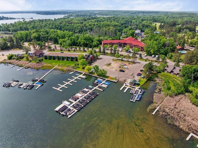 30202 Circle Dr, Breezy Point, MN 56472 - bird's eye view of a nearby body of water, a forest, and numerous boat docks