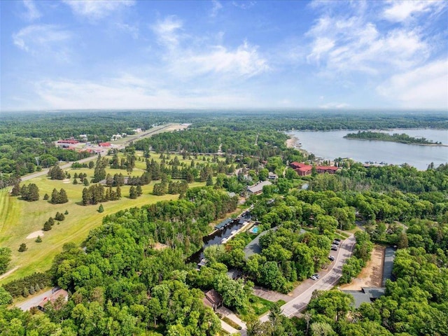 30202 Circle Dr, Breezy Point, MN 56472 - aerial view of property's location featuring a nearby body of water and a forest