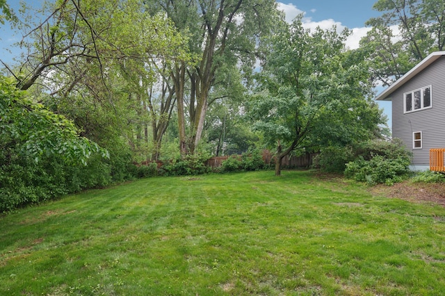 11600 Oberlin Rd, Minnetonka, MN 55305 - view of yard