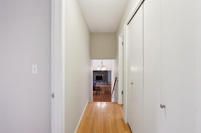 11600 Oberlin Rd, Minnetonka, MN 55305 - hallway with light wood-style flooring and baseboards