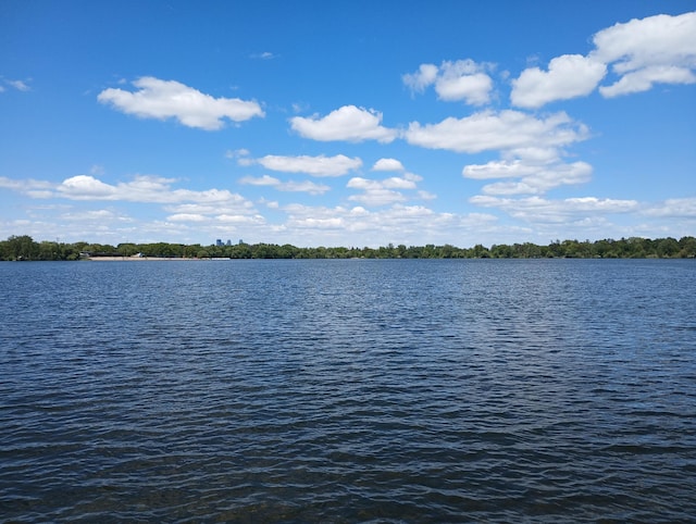 5257 27th Ave S, Minneapolis, MN 55417 - water view