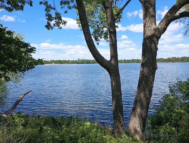 5257 27th Ave S, Minneapolis, MN 55417 - water view