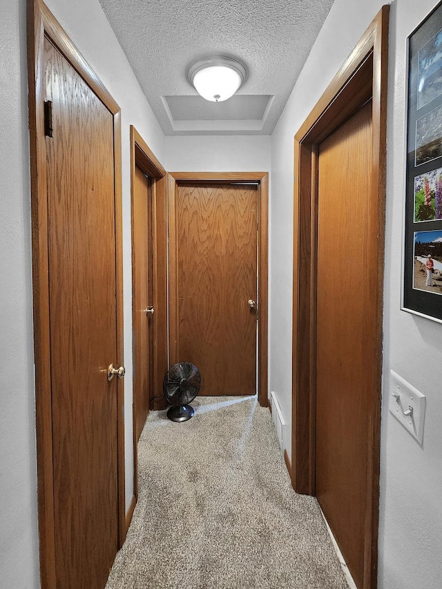 509 Clyde St, West Concord, MN 55985 - hallway featuring a textured ceiling, carpet, and baseboards