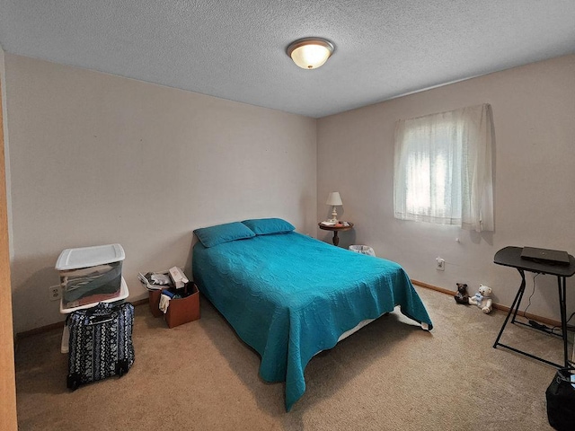 509 Clyde St, West Concord, MN 55985 - bedroom with carpet floors, a textured ceiling, and baseboards
