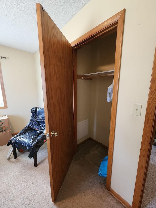 509 Clyde St, West Concord, MN 55985 - view of closet