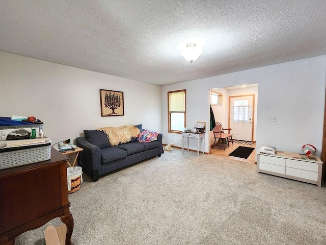 509 Clyde St, West Concord, MN 55985 - carpeted living room featuring a textured ceiling