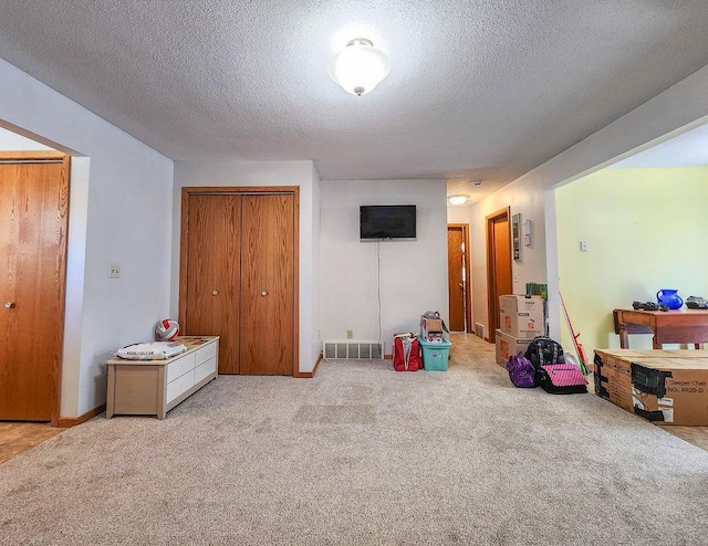 509 Clyde St, West Concord, MN 55985 - recreation room featuring carpet and a textured ceiling