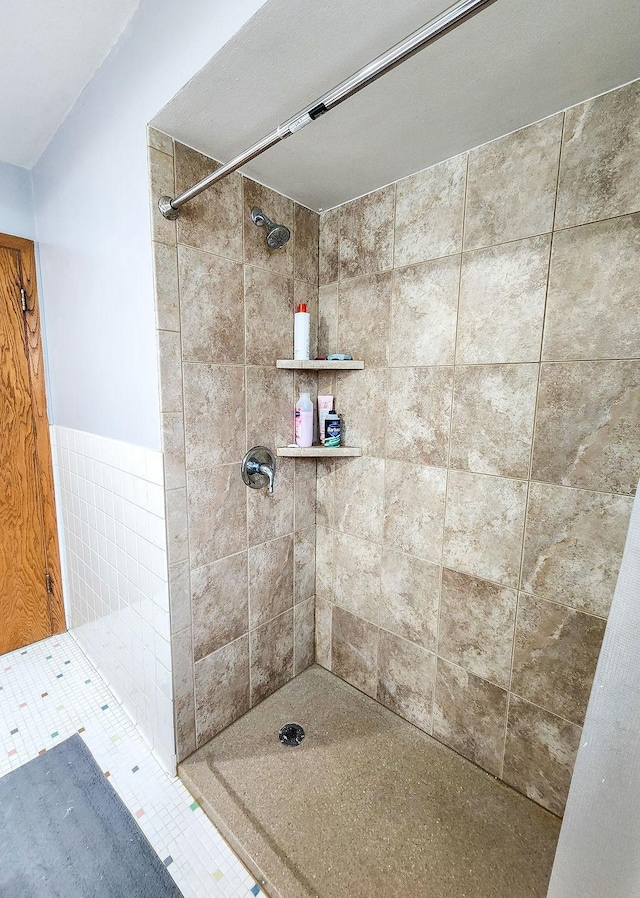 509 Clyde St, West Concord, MN 55985 - full bathroom with tiled shower and wainscoting
