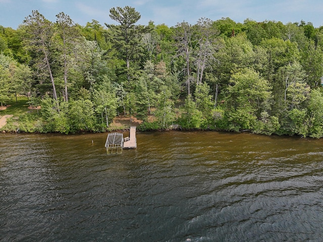 35341 Rogers Cir, Ross Lake Twp, MN 56447 - photo 5