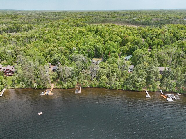 35341 Rogers Cir, Ross Lake Twp, MN 56447 - photo 6