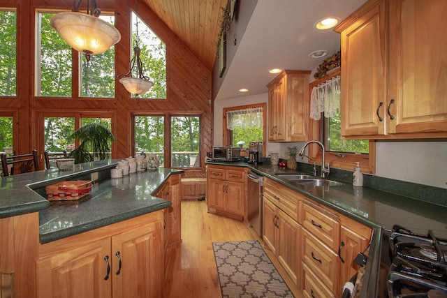 35341 Rogers Cir, Ross Lake Twp, MN 56447 - photo 7