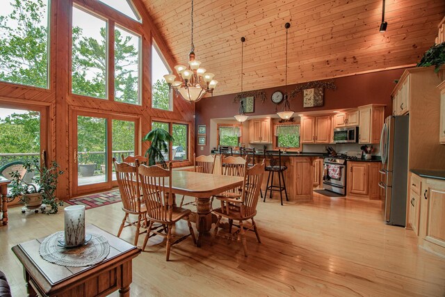 35341 Rogers Cir, Ross Lake Twp, MN 56447 - photo 15