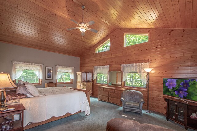 35341 Rogers Cir, Ross Lake Twp, MN 56447 - photo 23