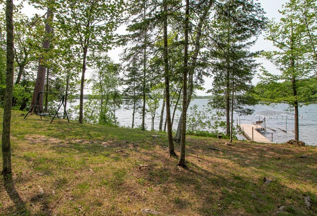 35341 Rogers Cir, Ross Lake Twp, MN 56447 - photo 52