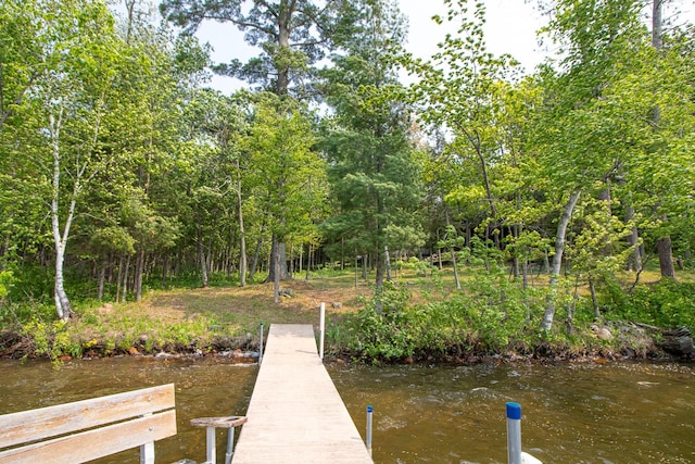 35341 Rogers Cir, Ross Lake Twp, MN 56447 - photo 53