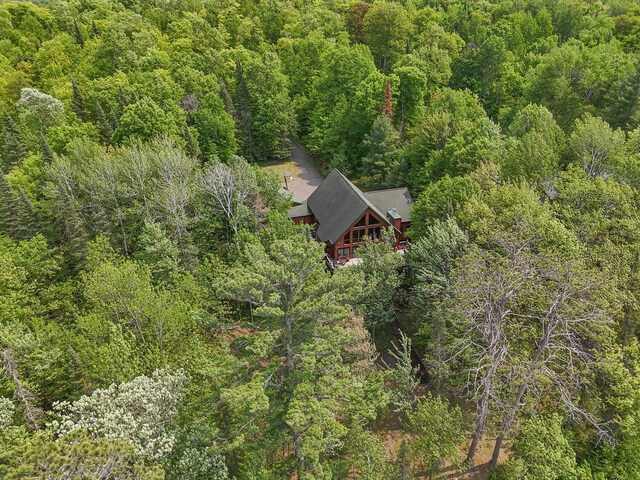 35341 Rogers Cir, Ross Lake Twp, MN 56447 - photo 57