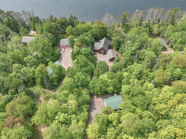 35341 Rogers Cir, Ross Lake Twp, MN 56447 - photo 58