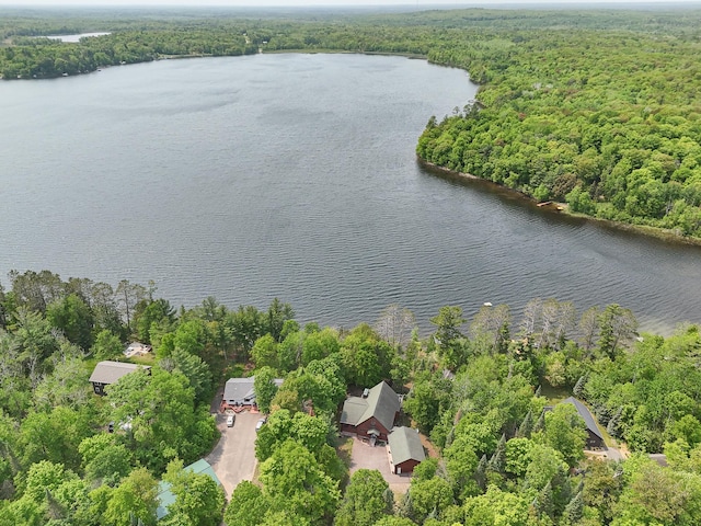 35341 Rogers Cir, Ross Lake Twp, MN 56447 - photo 59