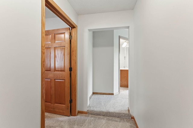 11001 Quincy Blvd NE, Blaine, MN 55434 - hallway with carpet flooring and baseboards