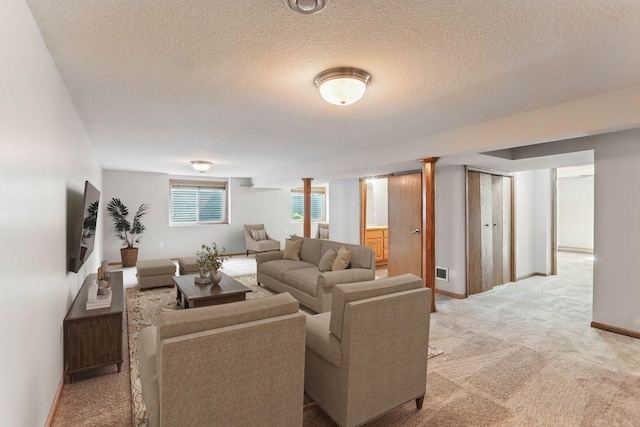 11001 Quincy Blvd NE, Blaine, MN 55434 - living area featuring light colored carpet, baseboards, and a textured ceiling