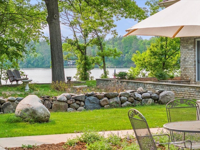 8821 Interlachen Rd, Lake Shore, MN 56468 - view of grassy yard with a water view