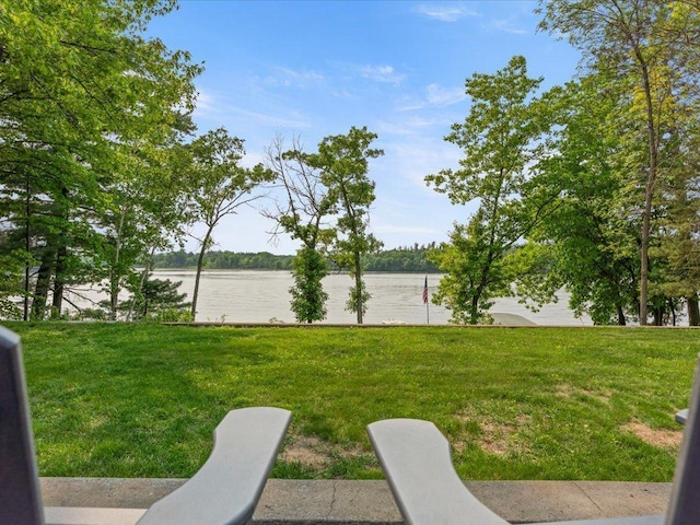 8821 Interlachen Rd, Lake Shore, MN 56468 - view of grassy yard with a water view