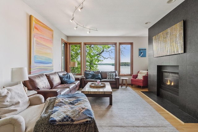 3850 Lone Cedar Ln, Chanhassen, MN 55318 - living area with wood finished floors, a fireplace, and a water view