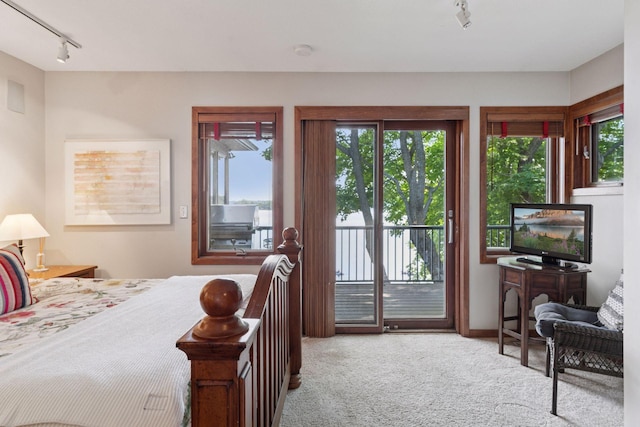 3850 Lone Cedar Ln, Chanhassen, MN 55318 - carpeted bedroom with rail lighting and access to exterior
