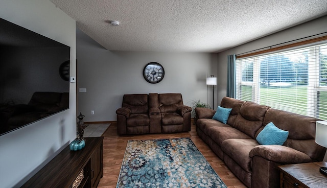 15608 Fjord Ave, Apple Valley, MN 55124 - living room featuring a textured ceiling and wood finished floors