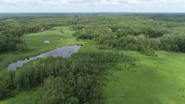 21813 Larson Rd, Crosby, MN 56441