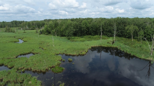 21813 Larson Rd, Crosby, MN 56441