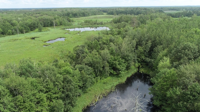 21813 Larson Rd, Crosby, MN 56441