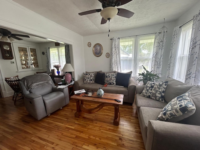 207 Cook St, Palisade, MN 56469 - living area with ceiling fan, wood-type flooring, and a textured ceiling