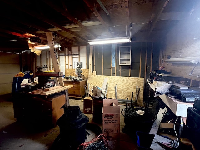 207 Cook St, Palisade, MN 56469 - below grade area with a workshop area and a garage