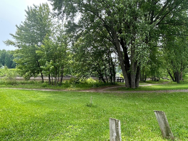 207 Cook St, Palisade, MN 56469 - view of yard